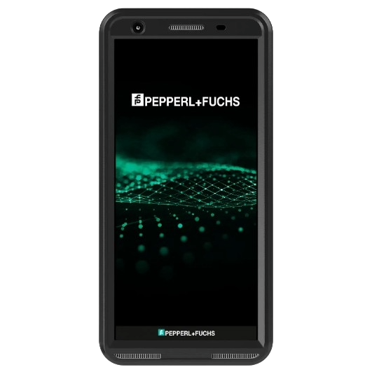 ENTERPRISE MOBILITY